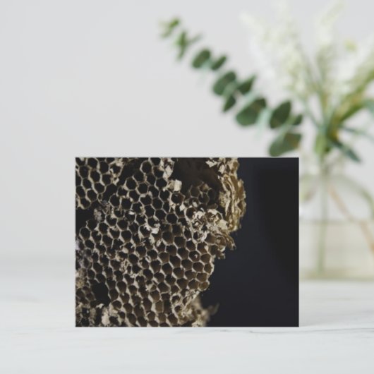 Carte Postale Bee Hive (Debout devant)