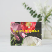 Carte Postale Bee In The Poppies Post Card (Debout devant)