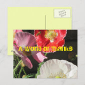 Carte Postale Bee In The Poppies Post Card (Devant / Derrière)