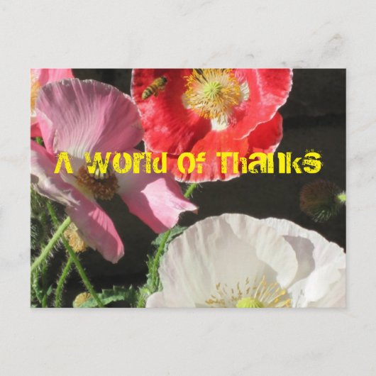 Carte Postale Bee In The Poppies Post Card (Devant)