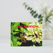 Carte postale Bee Kindness (Debout devant)