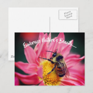 Carte Postale Bee On Daisy Embrassez Nature Inspirationnelle 