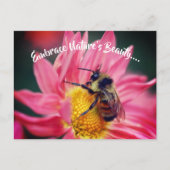Carte Postale Bee On Daisy Embrassez Nature Inspirationnelle (Devant)