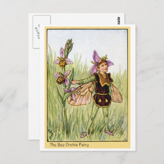 Carte Postale Bee Orchis Fairy (Devant / Derrière)