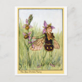 Carte Postale Bee Orchis Fairy (Devant)