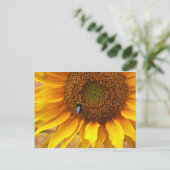 Carte Postale Bee Sunny (Debout devant)
