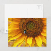 Carte Postale Bee Sunny (Devant / Derrière)