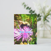 CARTE POSTALE BEELOVE2 (Debout devant)