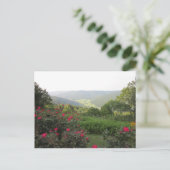 Carte postale Beersheba Springs (Debout devant)