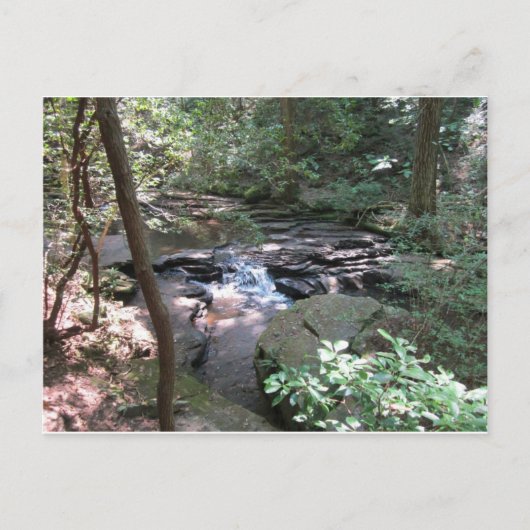 Carte postale Beersheba Springs (Devant)