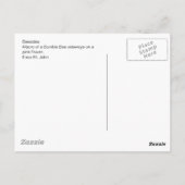 Carte postale Beesides (Dos)