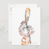 Carte Postale Beethoven (Devant / Derrière)