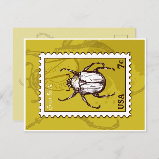 Carte Postale Beetle (Devant / Derrière)