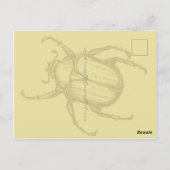 Carte Postale Beetle (Dos)
