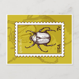 Carte Postale Beetle