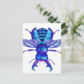Carte Postale Beetle de la ceinture bleue (Debout devant)