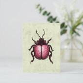 Carte Postale Beetle Rose Cute Bute Art - Insect Lover (Debout devant)