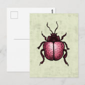Carte Postale Beetle Rose Cute Bute Art - Insect Lover (Devant / Derrière)