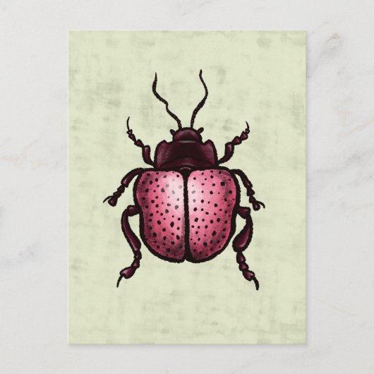 Carte Postale Beetle Rose Cute Bute Art - Insect Lover (Devant)