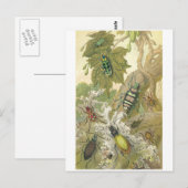 Carte Postale Beetles britanniques (Devant / Derrière)