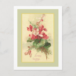 Carte Postale Begonia Vintage Anniversaire Salutations