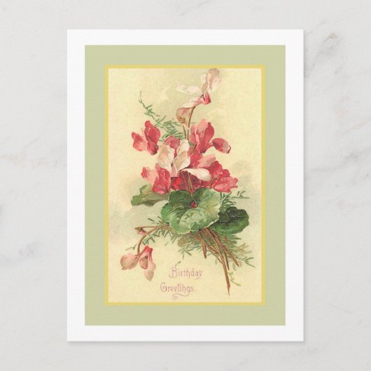 Carte Postale Begonia Vintage Anniversaire Salutations (Devant)