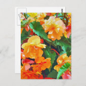 CARTE POSTALE BÉGONIAS (Devant / Derrière)