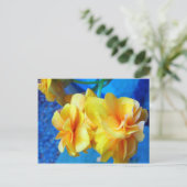 Carte Postale Bégonias jaune (Debout devant)