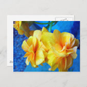 Carte Postale Bégonias jaune (Devant / Derrière)