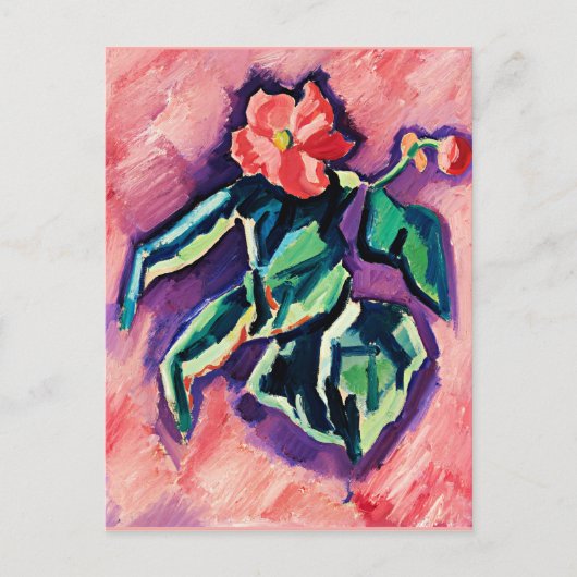 Carte Postale Begonias, oeuvre d'art moderne de Marsden Hartley (Devant)