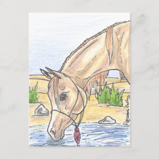 Carte Postale "Bejh bint Ahwa"  (Devant)