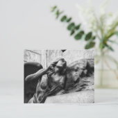 Carte Postale Bel ange avec un regard serein vers le ciel (Debout devant)