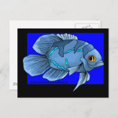 Carte Postale Bel Oscar bleu tropical (Devant / Derrière)