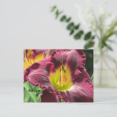 Carte Postale Bela Lugosi - Daylily (Debout devant)