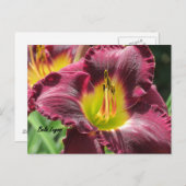 Carte Postale Bela Lugosi - Daylily (Devant / Derrière)