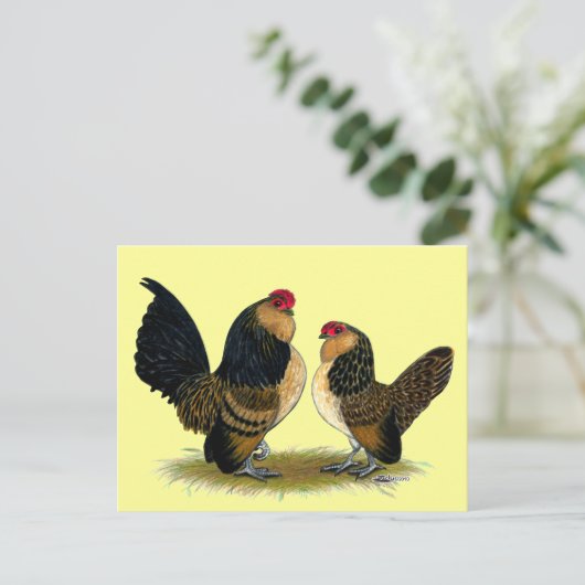 Carte Postale Belge d'Anvers Bantams :  Queue (Debout devant)