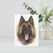 Carte Postale Belge de Chebereau Tervueren (Debout devant)