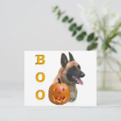 Carte Postale Belge Malinois Boo (Debout devant)