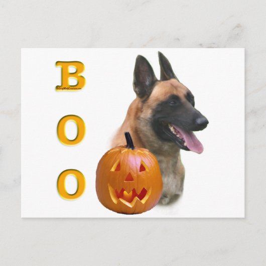 Carte Postale Belge Malinois Boo (Devant)