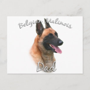 Carte Postale Belge Malinois Papa 2