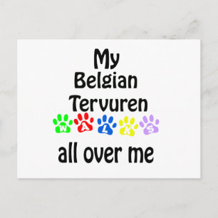 Carte Postale Belge Tervuren Walks Design