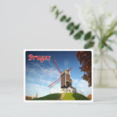 Carte Postale Belgique - Bruges - Moulin - (Debout devant)