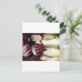 Carte Postale Belgique Endigo (Debout devant)