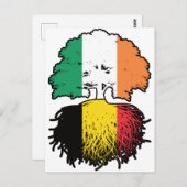 Carte Postale Belgique Irlande Irlande Belgique Drapeau des raci (Devant / Derrière)