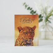 Carte Postale Belize Jaguar (Debout devant)