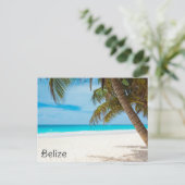 Carte Postale Belize Tropical Beach Palm Tree Ambergris Caye (Debout devant)