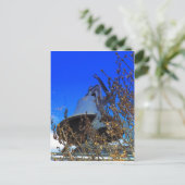 Carte Postale Bell vintage (Debout devant)