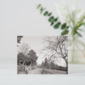 Carte Postale Bell Vue Park, Newport, Mon (Debout devant)