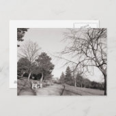 Carte Postale Bell Vue Park, Newport, Mon (Devant / Derrière)