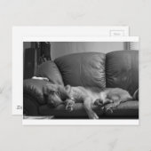 Carte Postale Bella (Devant / Derrière)